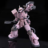 Bandai Gundam Model Kit HG Zaku Desert Pink Panther Forces Action Figu