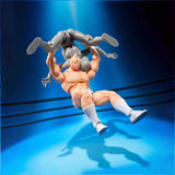 Bandai Kinnikuman Anime Figure SHF Kinnikuman Perfect original Action 