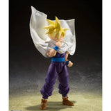 Genuine Bandai Dragon Ball Z Model Kit SHF Son Gohan The Warrior Who S
